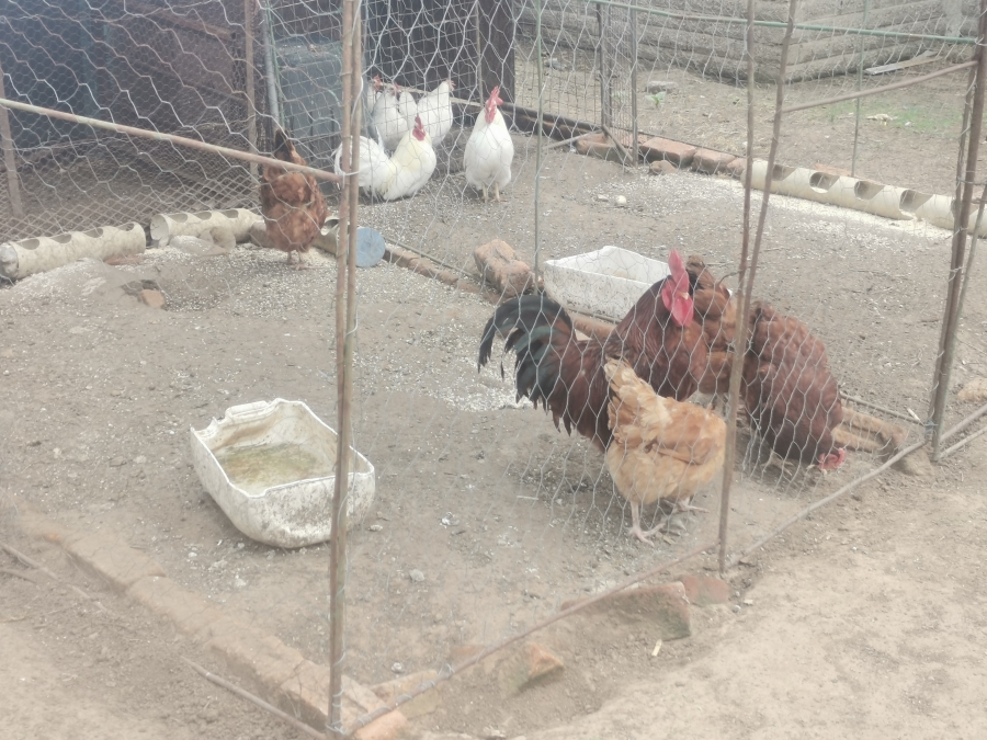 5 Bedroom Property for Sale in Senekal Rural Free State